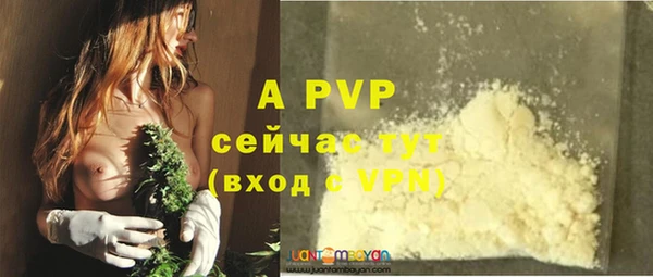 эйфоретик Арсеньев