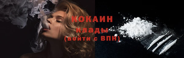 эйфоретик Арсеньев