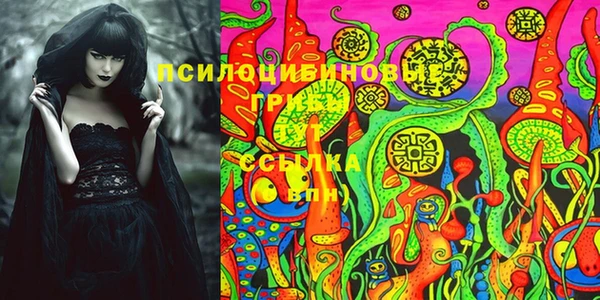 гидропоника Аркадак