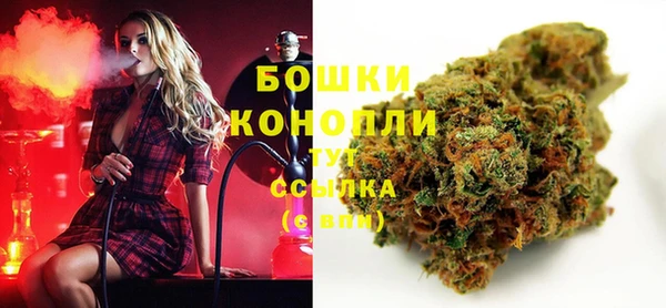 эйфоретик Арсеньев