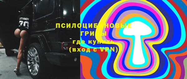 прущие грибы Мегион