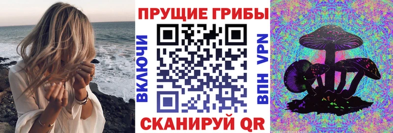 Псилоцибиновые грибы Cubensis  Купить где  Бобров 